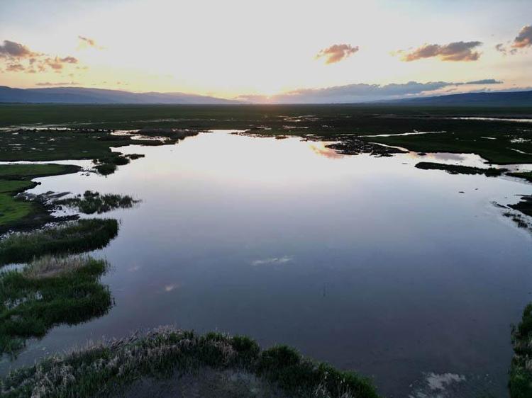 BELGESEL TADINDA DENEYİM