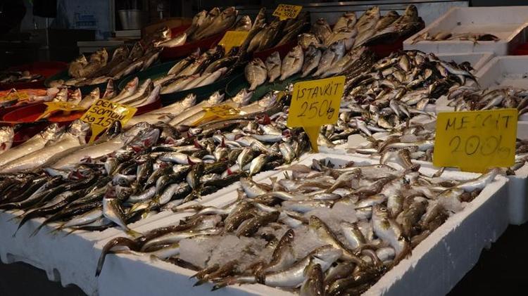 NEREDEYSE 14 ÇEŞİT BALIK VAR