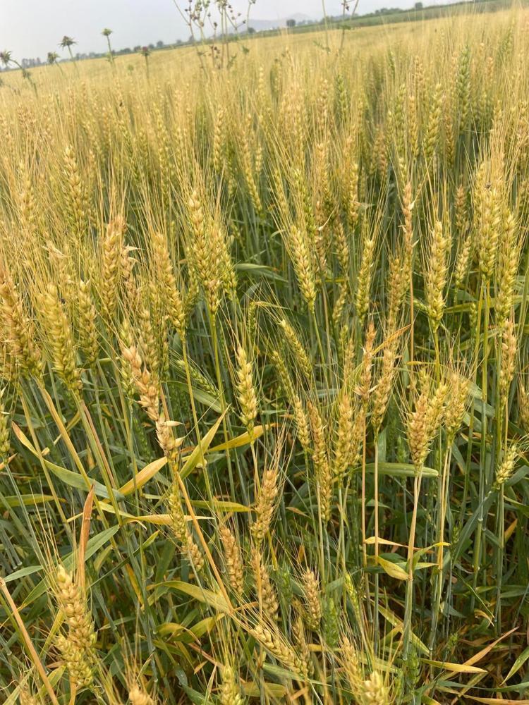 ‘ÜRETİM OLMAZSA HAYAT DEVAM ETMEZ