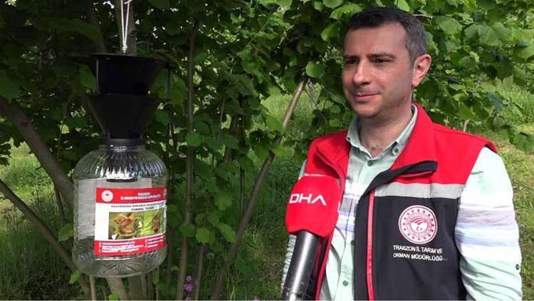 TÜM MAHARET CEZBEDİCİ FEROMONLARDA