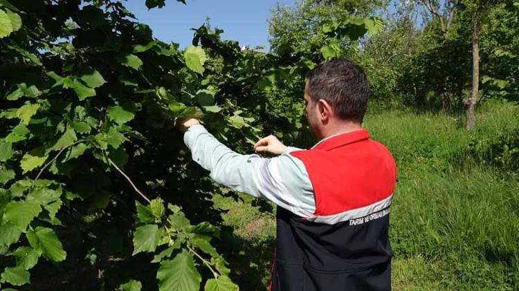 TÜRKİYE GENELİNDEKİ RAKAM 1 MİLYON
