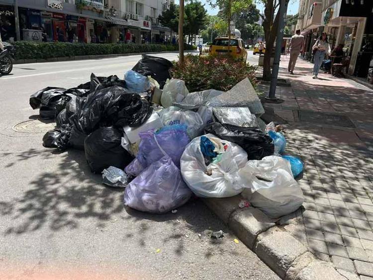 O ÇÖPLERİ TOPLAYAN DA ARKADAŞLARIM