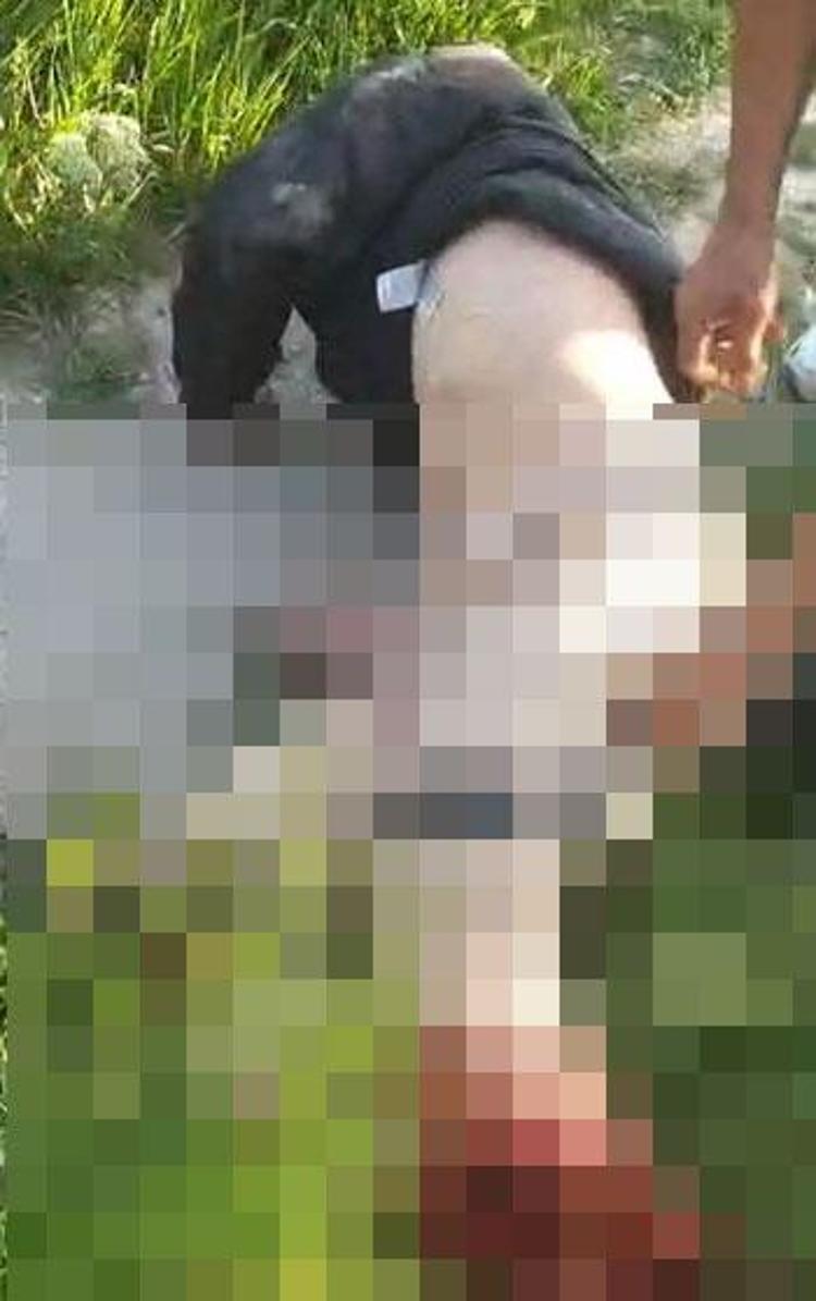 ÖZEL KUTU İLE GÖTÜRÜLDÜ