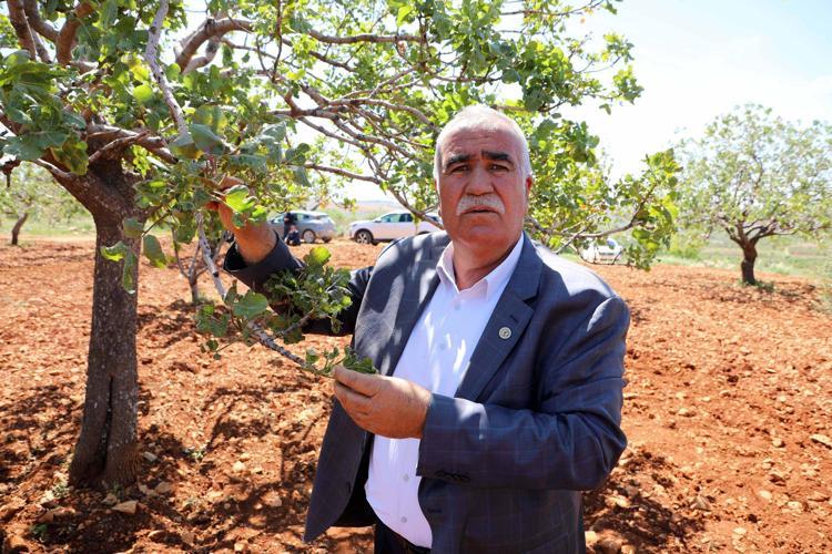 DEVLET DESTEĞİ VERİLMESİ GEREKİYOR