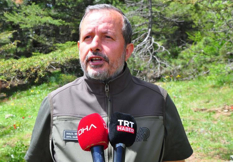 MANİSA LALESİ BİZİM İÇİN BÜYÜK BİR DEĞER