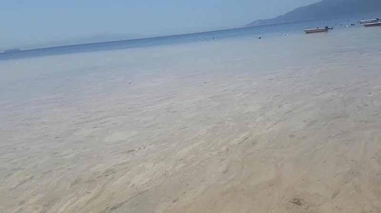 ‘CANLI EKOSİSTEMİ ÇOK BÜYÜK TEHLİKE ALTINDA’