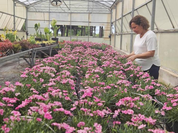 40 MİLYON DOLARLIK İHRACAT