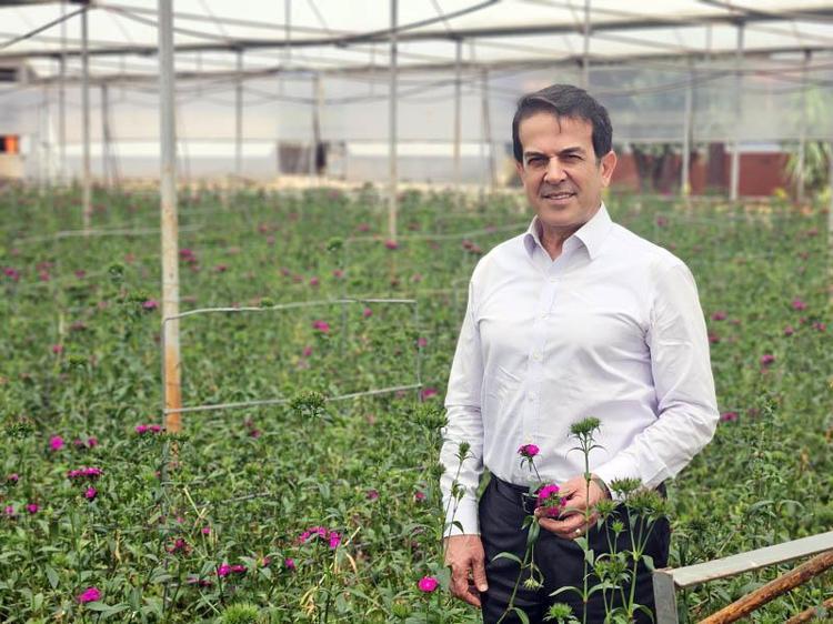 4 MİLYON YERLİ KARANFİL ÜRETİMİ