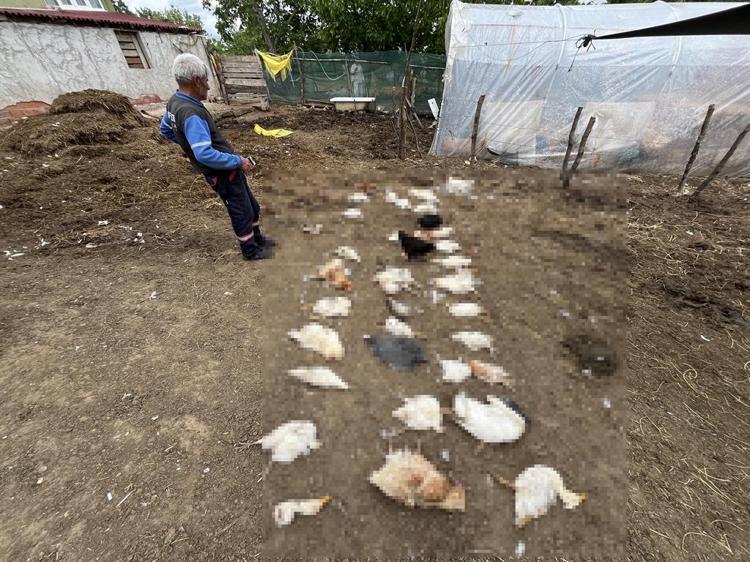 ‘HAKKIMI SONUNA KADAR ARAYACAĞIM’