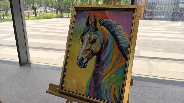 ‘DUYGULARIMI RESİMLERLE ANLATMAK DAHA KOLAY’