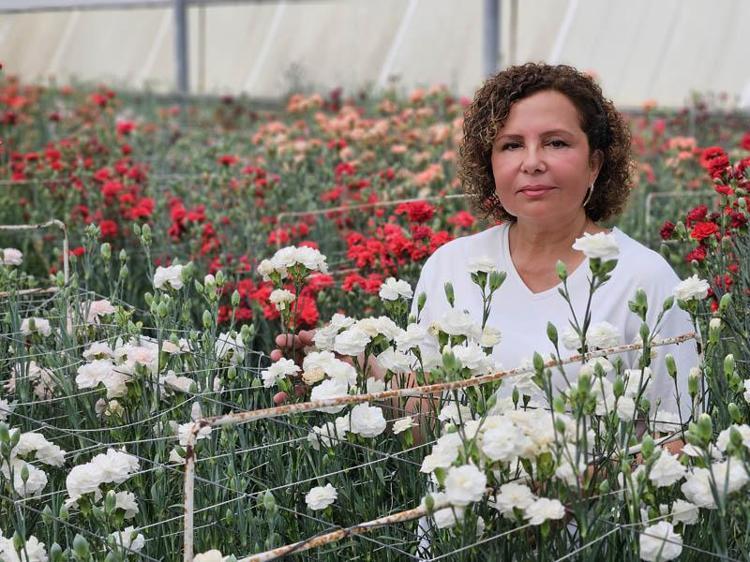 ‘PİYASAYA YERLİ KARANFİL ÇEŞİTLERİNİN GİRMESİNİ HEDEFLİYORUZ’