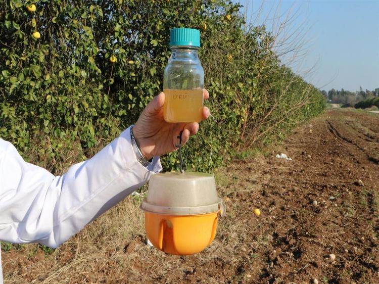 YILLIK 3 MİLYAR DOLAR ZARARA NEDEN OLUYOR