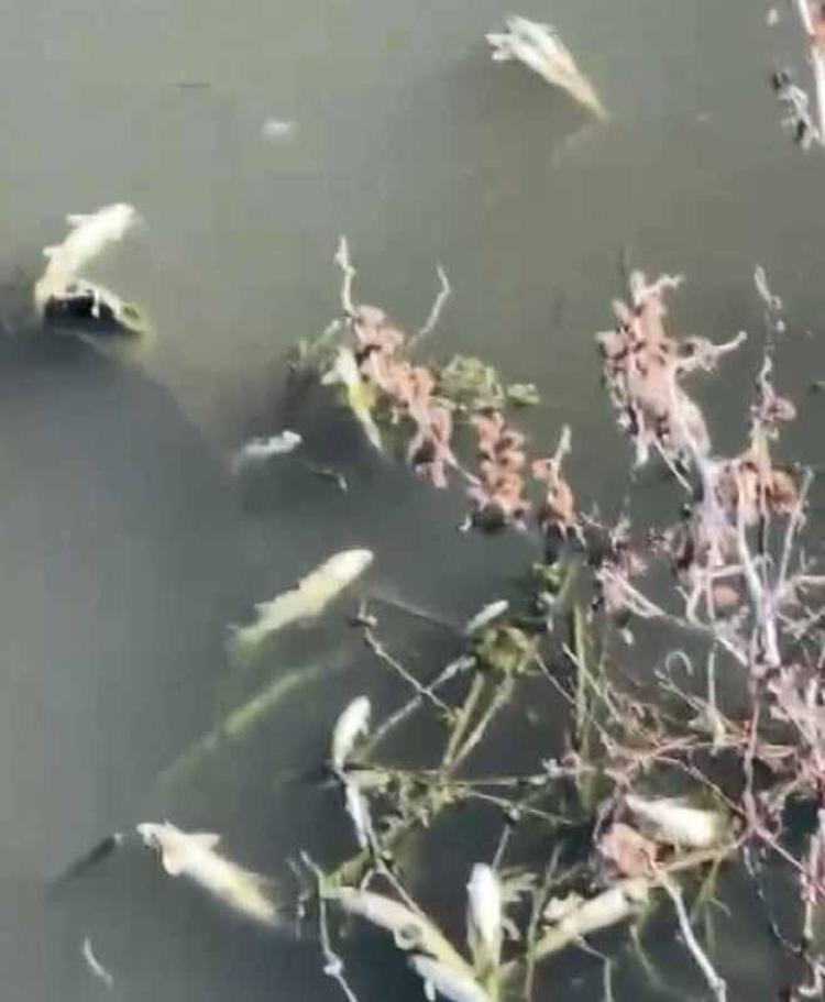 ‘SULARI ARITMAMIZ GEREKİYOR’