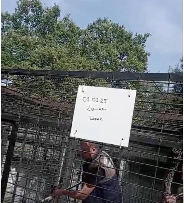 KİMSENİN BUNLARI YAŞATMAYA HAKKI YOK