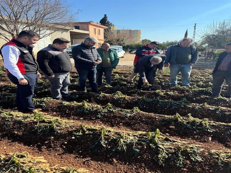 SON YAŞANANLAR DON OLAYLARI TARIMSAL FELAKET STATÜSÜNE GİREBİLİR