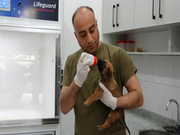 60 GÜNLÜKKEN SOSYALİZASYON EĞİTİMİ BAŞLIYOR