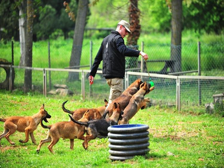 TÜRK ÇOBAN VE AKBAŞ, GÜÇLÜ KORUMA İÇ GÜDÜSÜYLE ÖNE ÇIKIYOR
