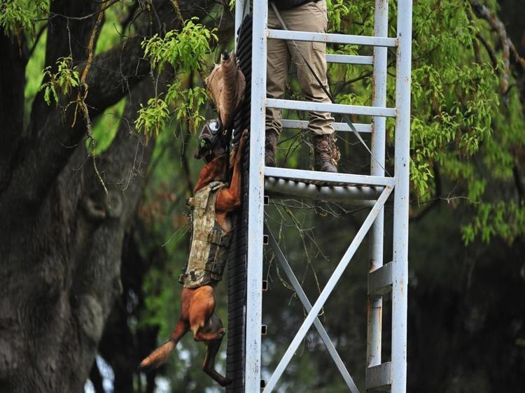 AÇILAN KURSLARDA KULLANICI PERSONEL İLE EŞLEŞTİRİLİYORLAR
