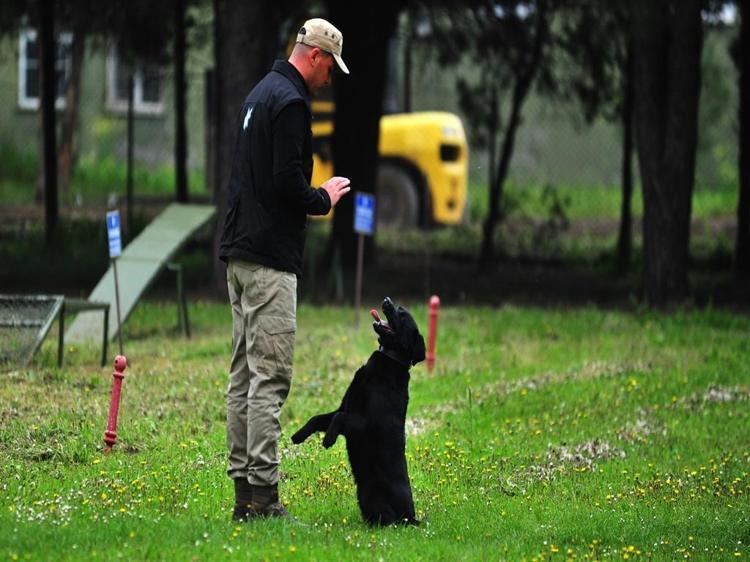 UKKS İLE OPERASYONLARDA DAHA ETKİN KULLANILIYORLAR