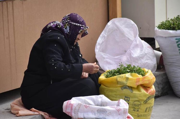 BU SENE MADIMAK ÇOK FAZLA