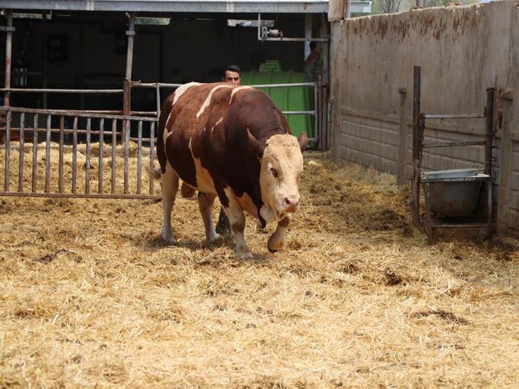 EN SON 500 BİN TLYİ GÖRDÜ