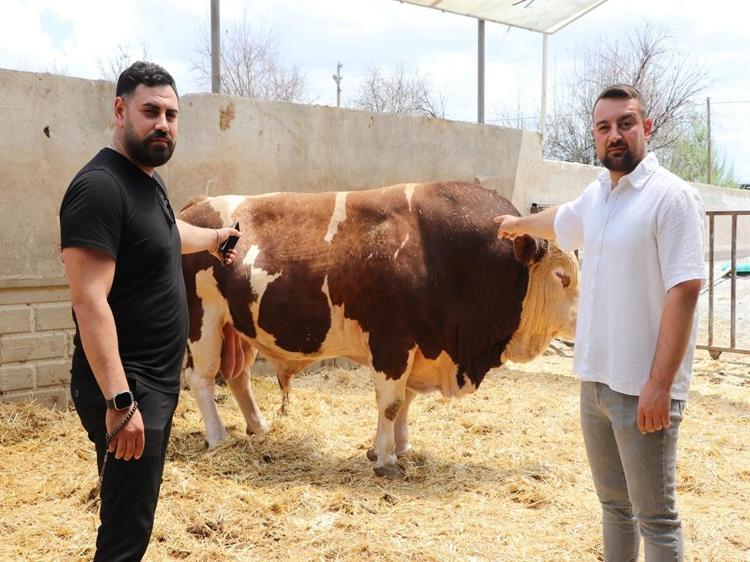 POYRAZII 540 BİN TLYE SATTIK