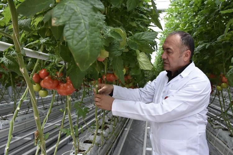 SLOGANIMIZ SIFIR PESTİSİT