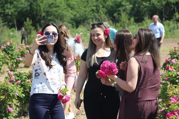 EDİRNE GÜLÜ, SEMBOL, SİMGE HALİNE GELECEK