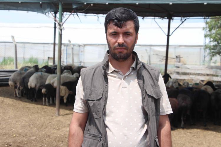 GEBE HAYVANLARIMIZ ÖLDÜ