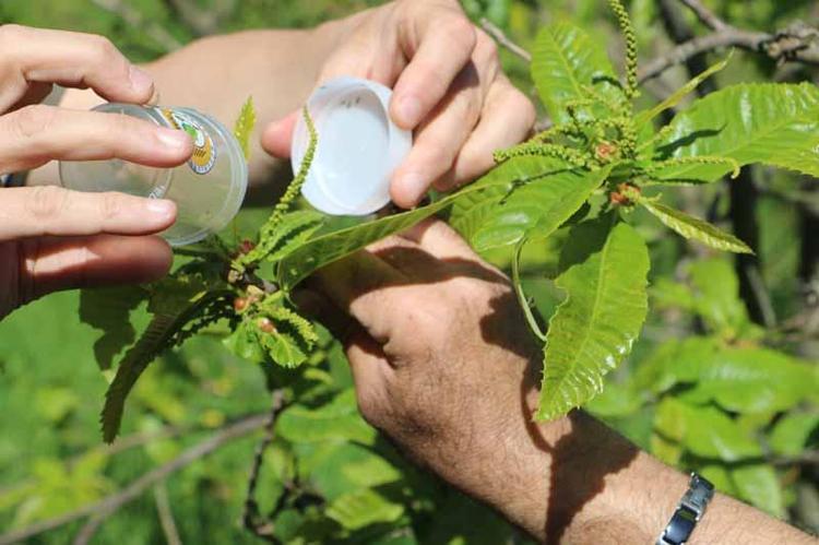 5 İLA 7 YIL İÇERİSİNDE YOK EDECEK