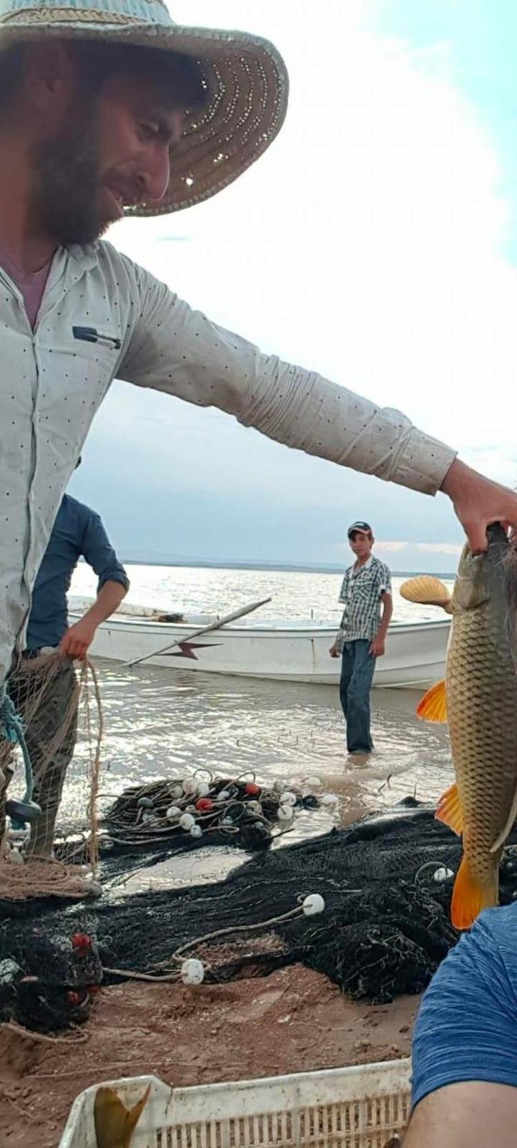 TEKNE ALABORA OLUYOR