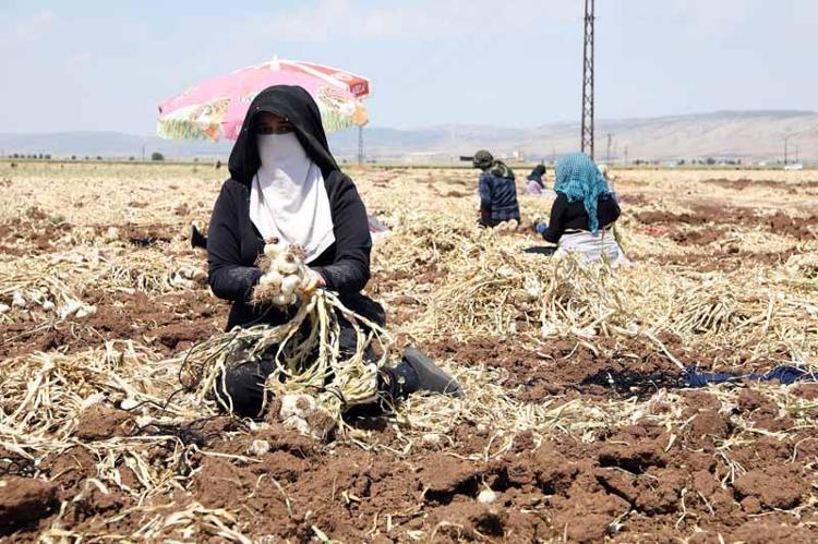 ‘EN BÜYÜK PROBLEMİMİZ ARACILAR’