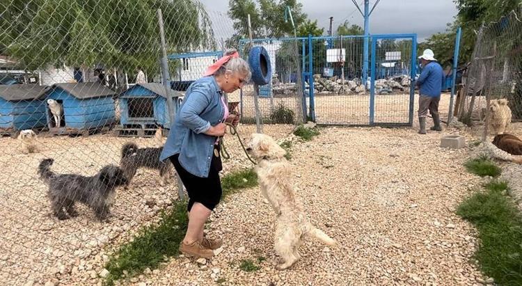 BİR GÜNÜMÜ TERK EDİLEN HAYVANLARLA GEÇİRDİM