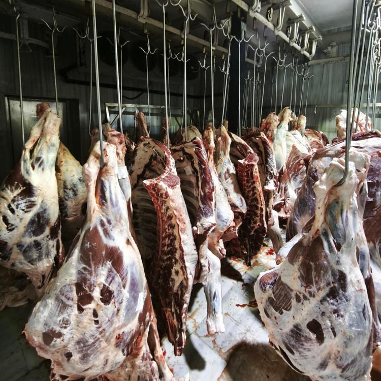 TRAKYAYA CANLI HAYVAN GETİRMEYİN