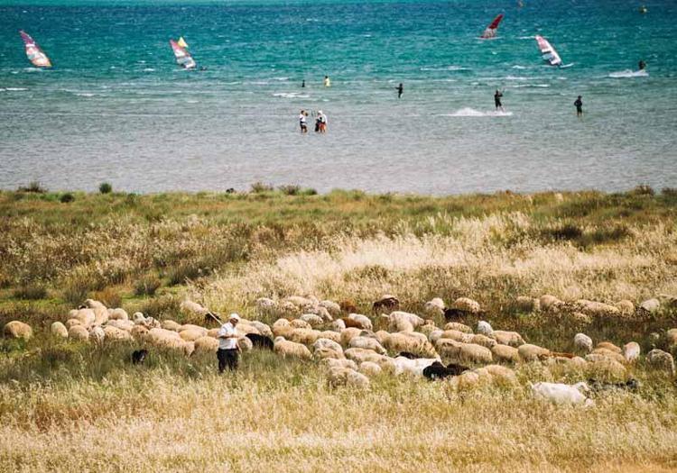 SİRTAKİ VE HALK DANSLARI BULUŞMASI