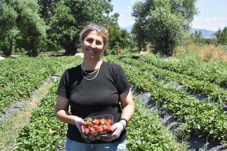 ABLAM BANA ÖRNEK OLDU