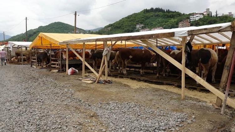 ‘SATIŞLAR GÜZEL GİDİYOR’