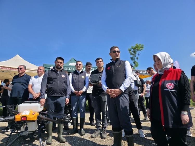 ÇELTİK TARIM ALANI YÜZDE 18 ARTTI