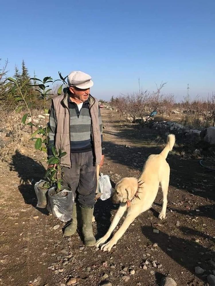 KURDUĞU ORMANI, ÖĞRENCİLERİNİN YARDIMIYLA HACİZDEN KURTARDI