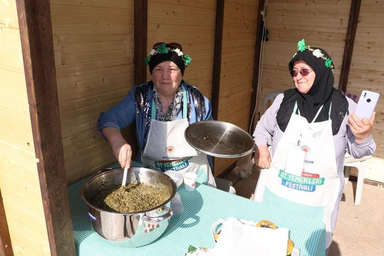 SAMSUNDA 250YE YAKIN OT ÇEŞİDİ VAR