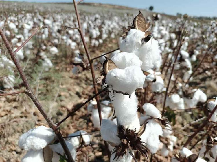 SUYUN YÜZDE 50’Sİ BOŞA GİDİYOR