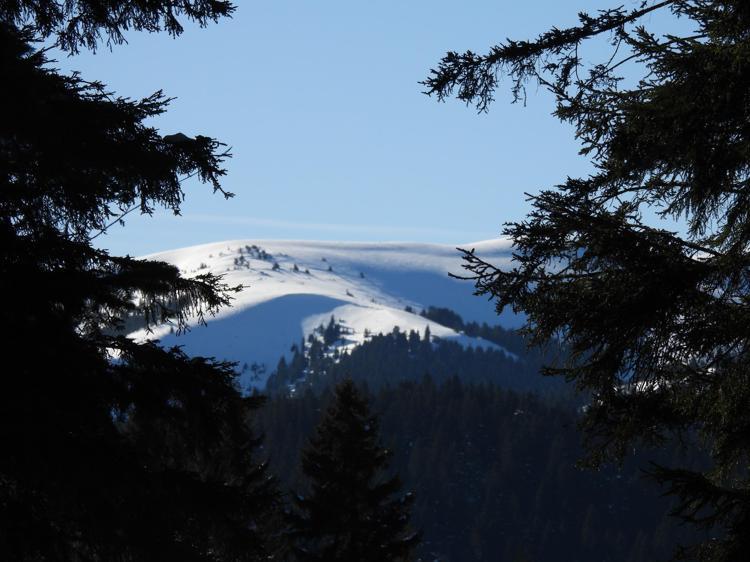 ‘HER YERDE BULUNMAZLAR’