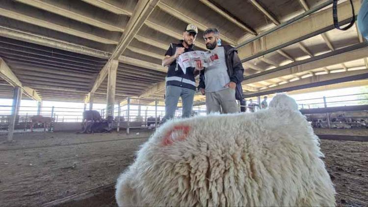 ‘BİLMEDİĞİMİZ ŞEYLERİ DE BİZE ÖĞRETTİLER’