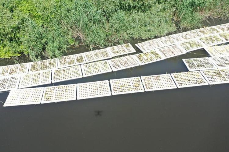 AZOT VE FOSFORUN BÜYÜK ÖLÇÜDE GİDERİLECEĞİNİ ÖNGÖRÜYORUZ