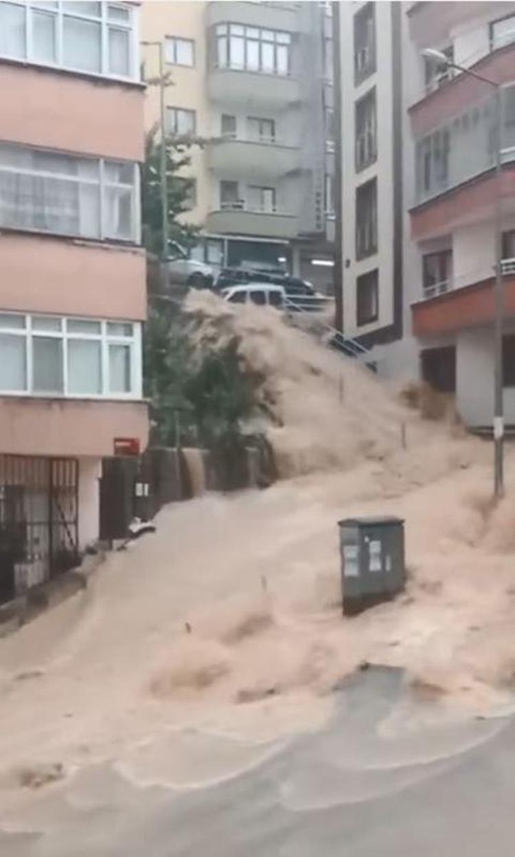 ORTAHİSARDA İNCELEME