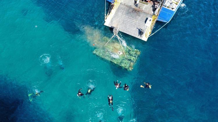 SAROS KÖRFEZİNDE YENİ YAŞAM ALANI