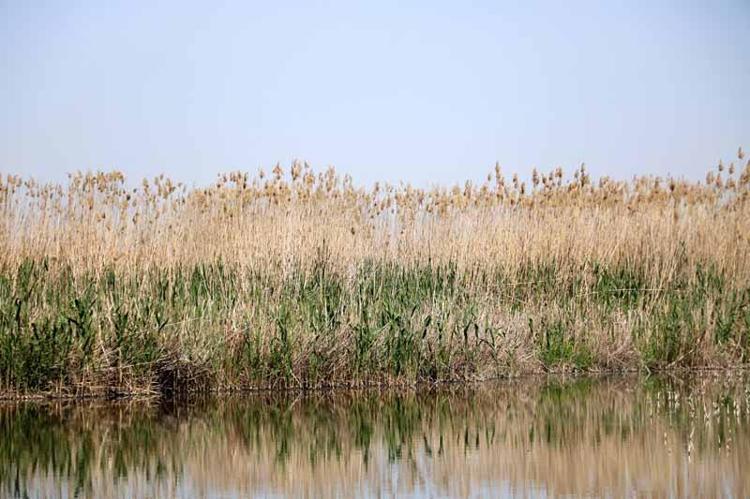 557 BİN 212 TLLİK CEZA YAPTIRIMI OLUYOR