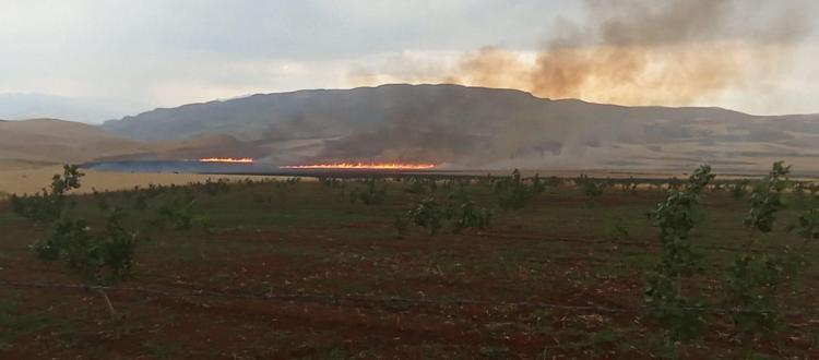 YILDIRIM DÜŞEN TARLADA 200 DÖNÜM YANDI
