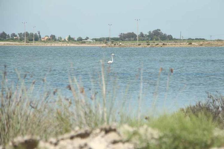 ‘MİKROPLASTİK MİKTARI KATRİLYONLARA YÜKSELİYOR’