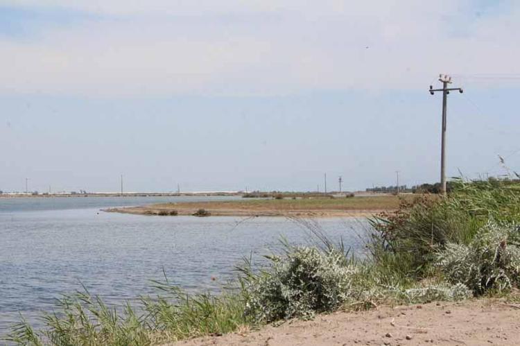 RAMSAR ALANLARDA MUTLAK KORUMA STATÜSÜ İŞLETİLMELİ